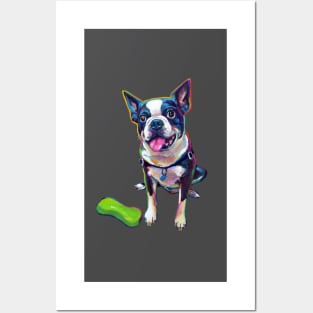 BOSTON TERRIER WITH TOY Posters and Art